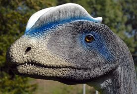 Dinosaur