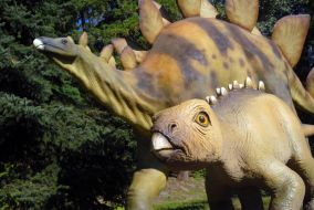 Stegosaurus