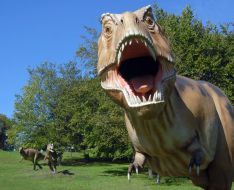 Tyrannosaurus