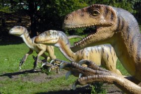 Deinonychus