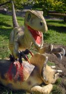 Ceratosaurus