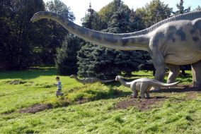 Diplodocus