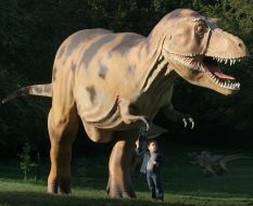 Tyrannosaurus