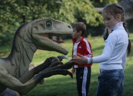 Ceratosaurus