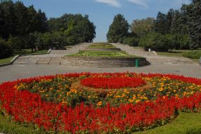 Flowers in Botanical Garden