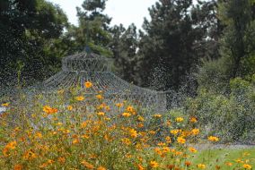 Fountain in the Botanic Garden