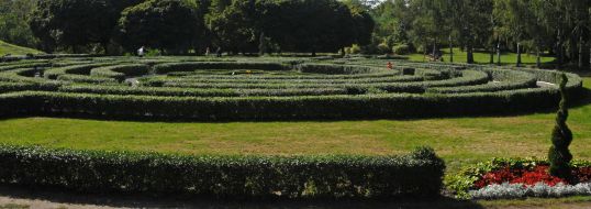 Flowers in Botanical Garden