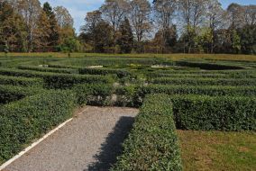 Flowers in Botanical Garden
