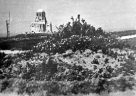 Botanical Garden in the late 40-ies