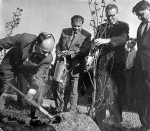 Boris Paton planting trees