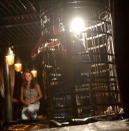 ”Oedipus” theatrical