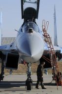 Destroyer of MIG-29