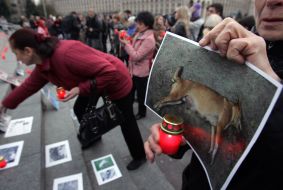 Женщина держит фотографию, на которой изображена мертвая собака