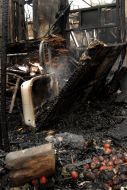 Consequences of fire