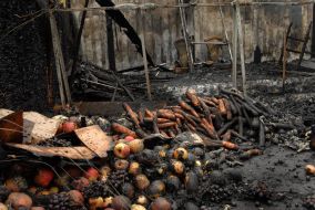 Consequences of fire