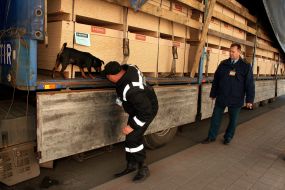Frontiersman inspects cargo