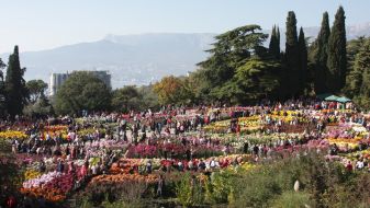 Exhibition ”Ball of chrysanthemums”