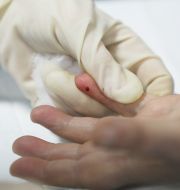 Express-analysis on glucose concentration in blood