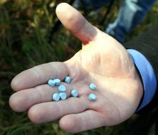 Співробітник УСБУ демонструє таблетки з амфетаміном