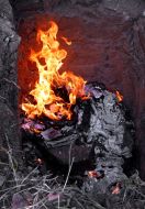 Знищення наркотиків