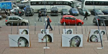 Fishing rods and photos of smokers