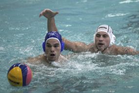 Evueniy Bezvesilnyi and Romm Gidi