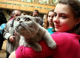 Девушка держит кота