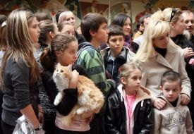 Девочка держит котенка