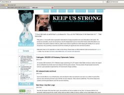 Screenshot website Wikileaks