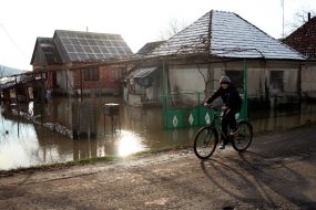 Flooded yard