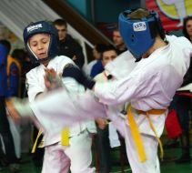 Ukrainian Championship Kyokushin-kan Karate