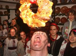 A fellow bites gray-breasted parrakeet