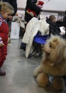 Девочка с собакой