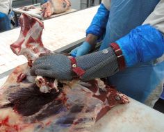 Workers of Kozyatin’s meat-packing plant