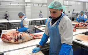 Workers of Kozyatin’s meat-packing plant