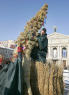 Installation of Diduh