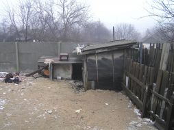 A yard