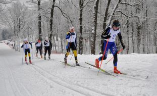Кубок Восточной Европы по лыжным гонкам