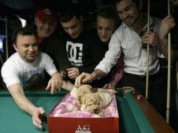 Participants of tournament