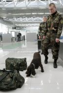 Поиск наркотиков