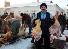 Slaughtering and butchering a pig carcass