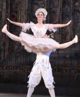 A scene from the ballet "The Nutcracker"