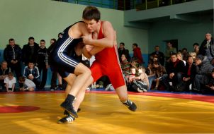 Participants of tournament