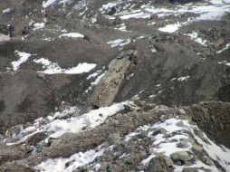 Предмет, похожий на бомбу