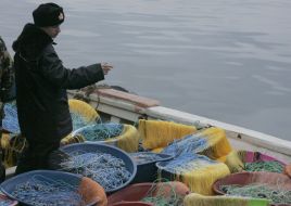 Пограничник 