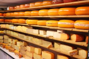 Cheese shop in Amstredam