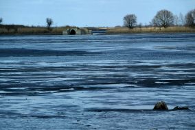 Coast Kremenchug reservoir
