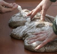 Improvised trade in goods by the "Soviet" prices