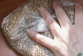 Improvised trade in goods by the "Soviet" prices