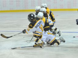 Match of Donetsk Bears child's hockey command